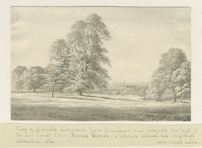 Katedrála Lichfield - Pohled z Aldershaw (vzdálený): kresba v sépii od John Allport