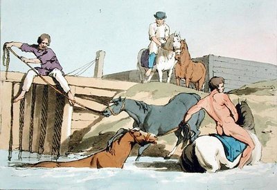 Koupací koně, leptané umělcem, publikováno 1803 (barevné lito) od John Augustus Atkinson