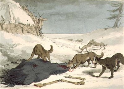 Hon na vlka, deska 74 ze svazku III 