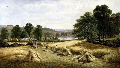 Shromažďování zlatého zrna poblíž Bishopsteignton, Plymouth od John Barrett