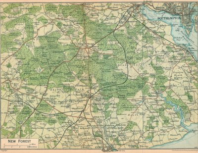 New Forest, c20. století od John Bartholomew