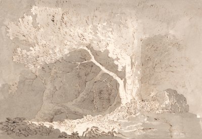 Stromová studie od John Baverstock Knight