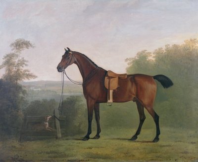 Bay Hunter v krajině od John Boultbee