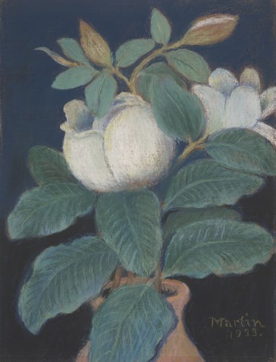 Magnolia Blossoms, 1933 od John Breckinridge Martin