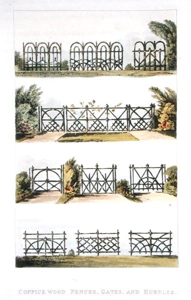 Dřevěné ploty, brány a překážky z výmladkového dřeva, z Ackermannova „Repository of Arts“, vydaného 1823 (barevné lito) od John Buonarotti Papworth
