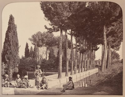Afghánští domorodci odpočívají v Baburových zahradách, Jalalabad, 1878 od John Burke