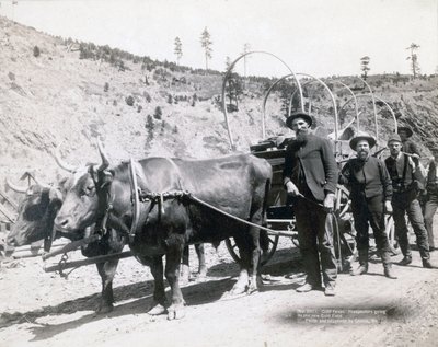 Zlatá horečka v Jižní Dakotě od John C. H. Grabill