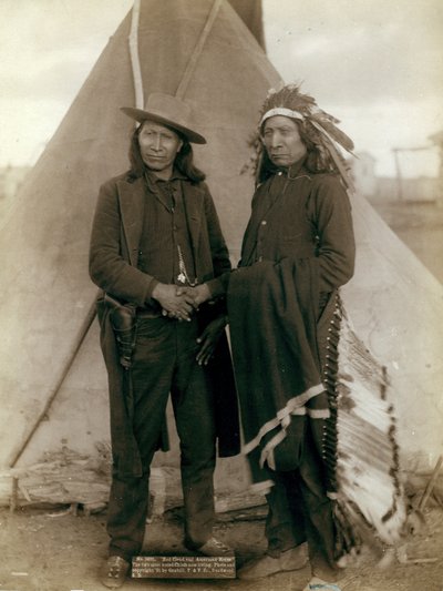 Červený mrak a americký kůň, 1891 od John C. H. Grabill