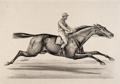 Císař Norfolku od John Cameron