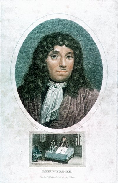 Anton van Leeuwenhoek 1632-1723, holandský mikroskop, c1810 od John Chapman