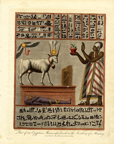 Část egyptského rukopisu nalezená v pochvě mumie od John Chapman