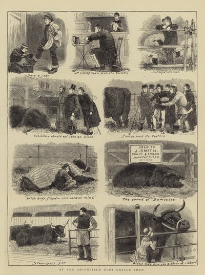 Na Smithfield Club Cattle Show od John Charles Dollman