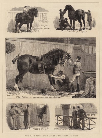 Cart-Horse Show v Zemědělské hale od John Charles Dollman