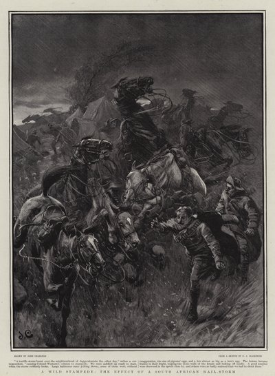 A Wild Stampede, účinek jihoafrického krupobití-bouře od John Charlton