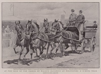 Užitečný tým při prodeji hackney prince z Walesu ve Wolfertonu od John Charlton
