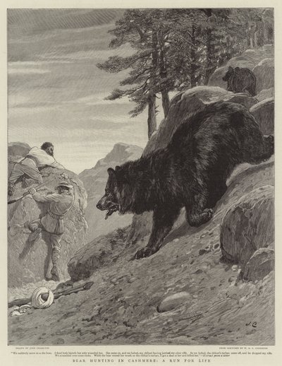 Lov medvědů v Kašmíru, běh o život od John Charlton