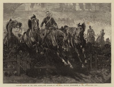 Jezdecká přehlídka třetími (královskými vlastními) husary na Královském vojenském turnaji v zemědělské hale od John Charlton