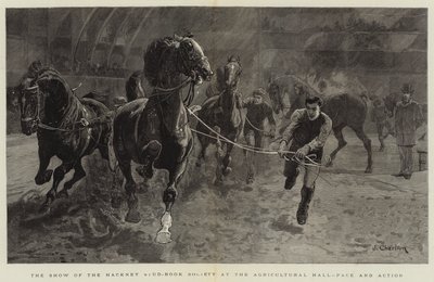 Show of the Hackney Stud-Book Society v Agricultural Hall, Pace and Action od John Charlton