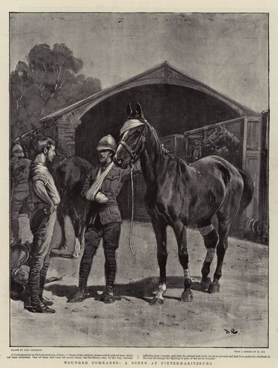 Zranění soudruzi, scéna v Pietermaritzburgu od John Charlton