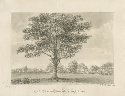 Boscobel - The Royal Oak: kresba sépie, 1820 od John Chessell Buckler