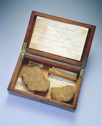 Krabice na relikvie, z Dorchester, Massachusetts, 1835 (mahagon a bříza) od John Clapp