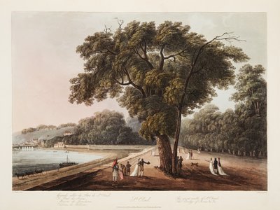 St Cloud, The Great Walk of St Cloud, The Bridge of Sevres atd. atd., ilustrace z Versailles, Paříž a Saint Denis, hospoda. 1805 (akvatinta) od John Claude Nattes