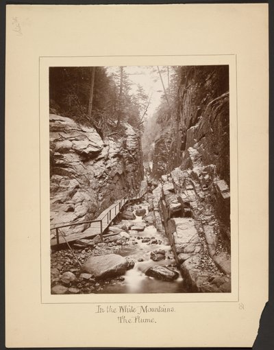 V Bílých horách/The Flume od John Coates Browne