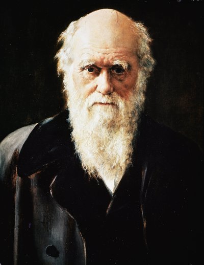 Portrét anglického přírodovědce Charlese Darwina, detail (olej na plátně od John Collier