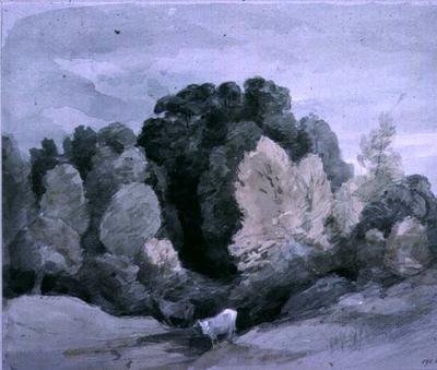 Dobytek u okraje lesa, asi 1805 od John Constable