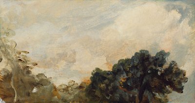 Cloud Study with Trees, 1821 (olej na papíře položený na palubě) od John Constable