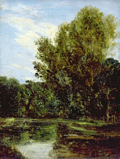 Corner of Hampstead Ponds (olej na palubě) od John Constable