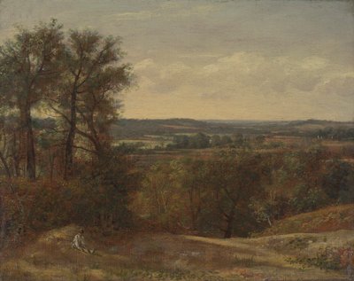 Dadham Wale od John Constable