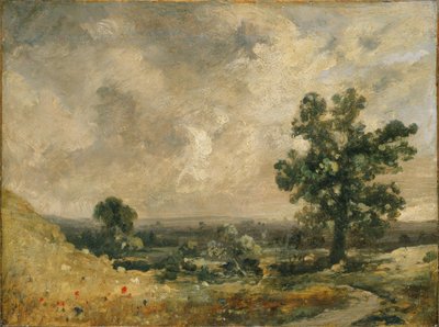 Anglická krajina od John Constable