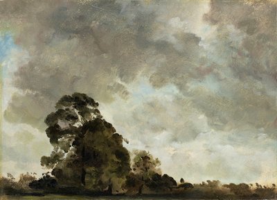Krajina v Hampstead, Tree and Storm Clouds, c.1821 (olej na papíře položený na panelu) od John Constable