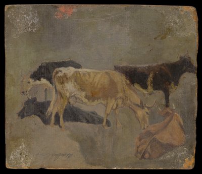 Studie pětirohého skotu (verso) (olej na žíhané lepence) od John Constable