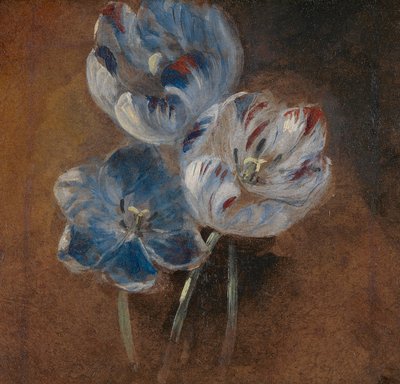 Studie tří papouščích tulipánů od John Constable