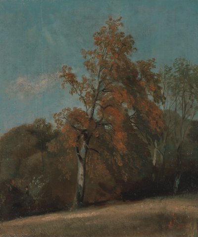 Studie jasanu ztepilého od John Constable