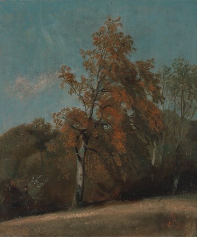 Studie jasanu, mezi 1801 a 1803 nebo mezi 1810 a 1830. od John Constable