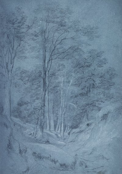 Studium jasanů a jiných stromů (tužka na papíře, zvýrazněno bílou křídou) od John Constable