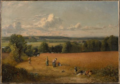 Pšeničné pole od John Constable