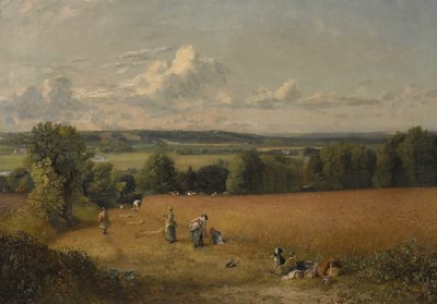 Pšeničné pole od John Constable