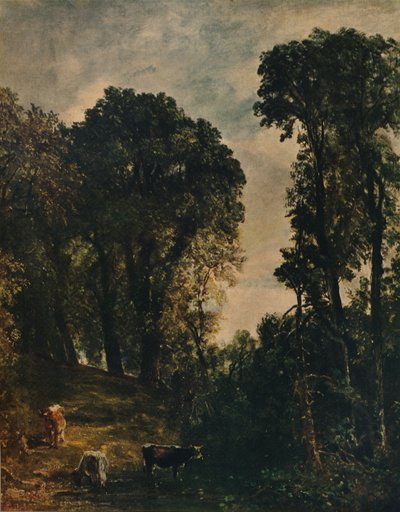 Stromy poblíž Hampstead Church, 1829, c1915 od John Constable