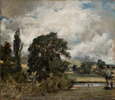 Water Meadows poblíž Salisbury, 1820-1829 od John Constable