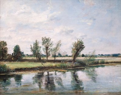Watermeadows poblíž Salisbury od John Constable