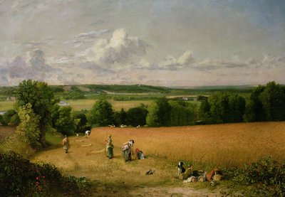 Pšeničné pole od John Constable