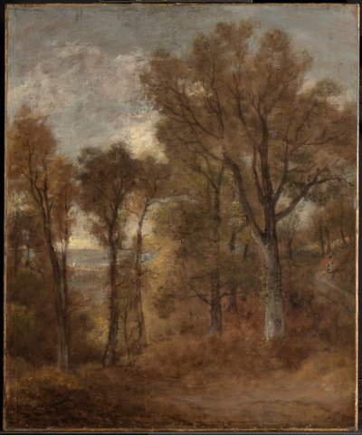 Lesní krajina s výhledem na údolí Dedham od John Constable