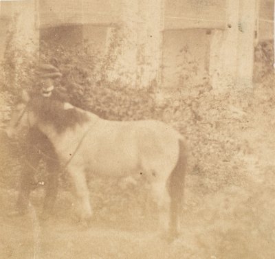 [Man and Horse, Government House, Allahabad], 1858. od John Constantine Stanley