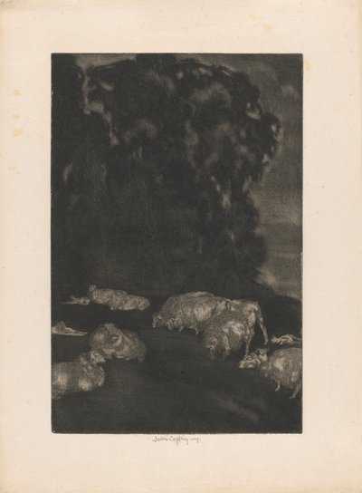 Ovce v soumraku od John Copley