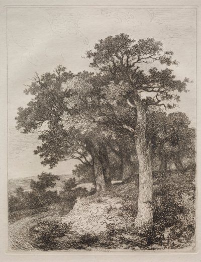 V Colney od John Crome
