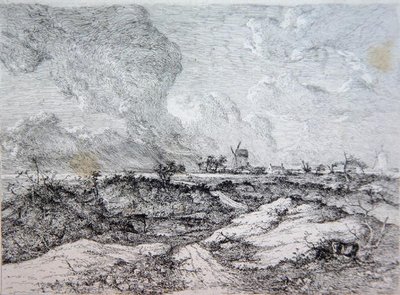 Mousehold Heath, Norwich, kolem 1810-11 od John Crome
